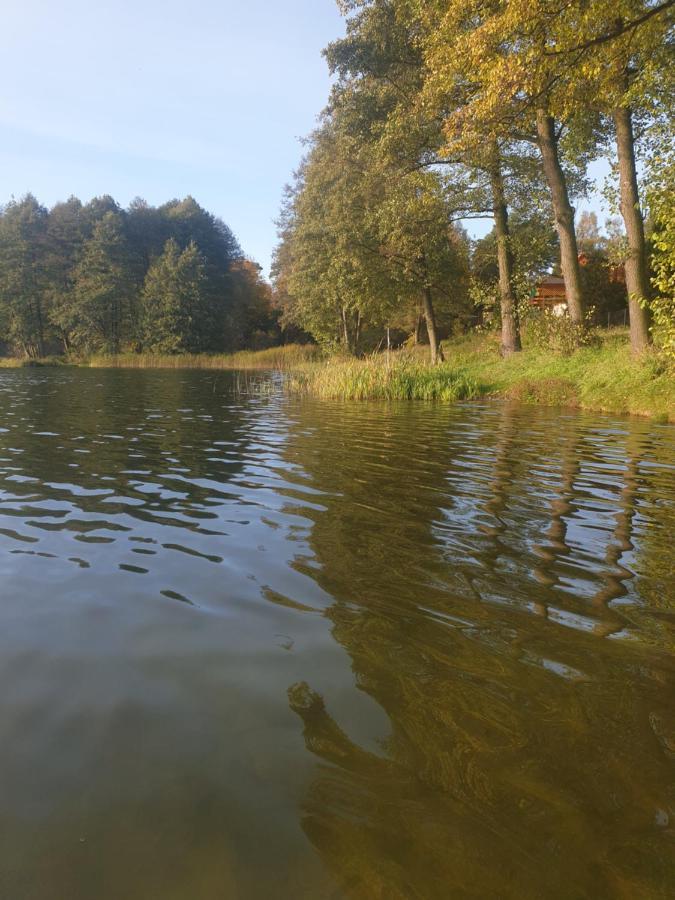 Lesny Azyl Bory Tucholskie Gostycyn Exterior foto
